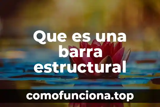 Que es eje estructural 8 Que es una barra estructural