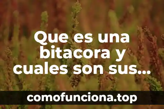 Que es cultura organizacional y cuales son sus elementos 4 Que es una bitacora y cuales son sus caracteristicas