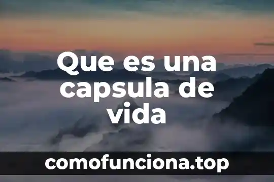 Que es y su funcion disco duro 8 Que es una capsula de vida