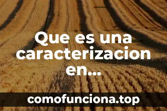 Qué es caracterización urbana y sus elementos que comprende 3 Que es una caracterizacion en investigacion
