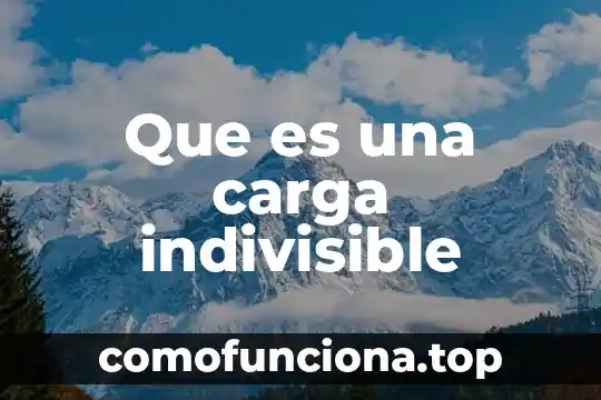 Que es un acumulacionde carga del mismo signo 8 Que es una carga indivisible