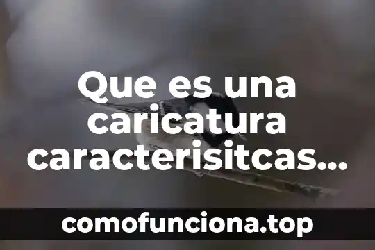 Lubbers arquitectura que es 5 Que es una caricatura caracterisitcas estructura y tipos