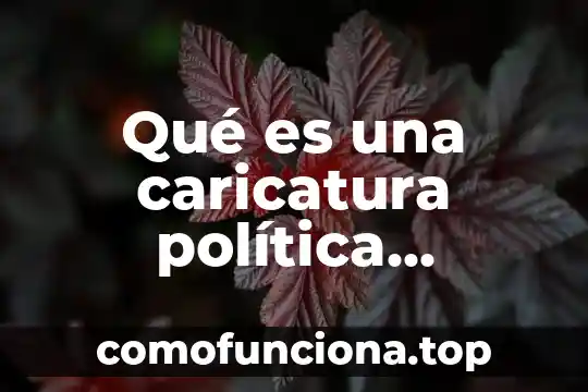 Que es la conciencia ejemplos 5 Qué es una caricatura política ejemplos características