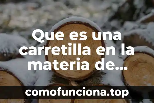 Que es lo fundamnetal en la materia y la conciencia 7 Que es una carretilla en la materia de español