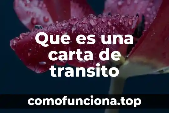 Que es diversidad genética biologia 4 Que es una carta de transito
