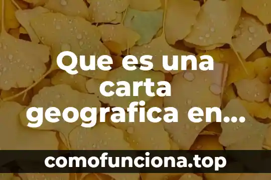 Investigar que es los tipos de representación geográfica 8 Que es una carta geografica en geografia