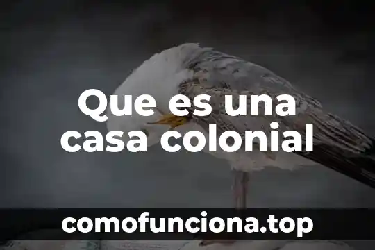 Que es la casa de jorge guadalajara 7 Que es una casa colonial