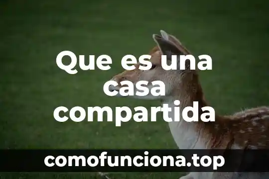 Que es cultura compartida 5 Que es una casa compartida