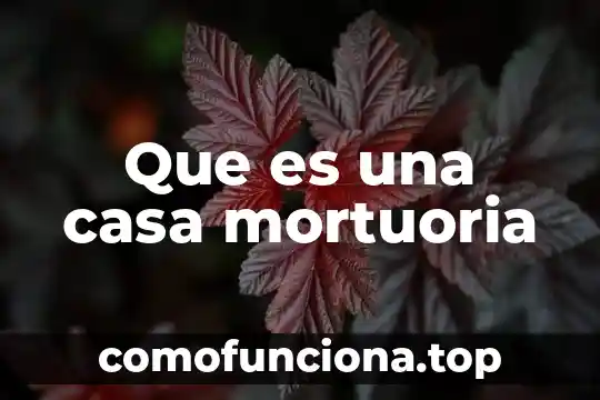Que es el estandarte nacional 7 Que es una casa mortuoria