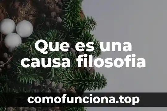 Que es vulgo en filosofía 8 Que es una causa filosofia