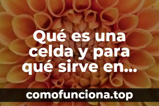 Icono de palomita en Excel que es una celda 4 QuƩ es una celda y para quƩ sirve en Excel