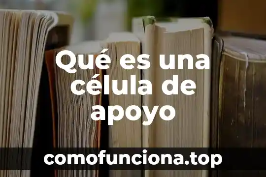 Qué es el centiolos de la célula animal 8 Qué es una célula de apoyo