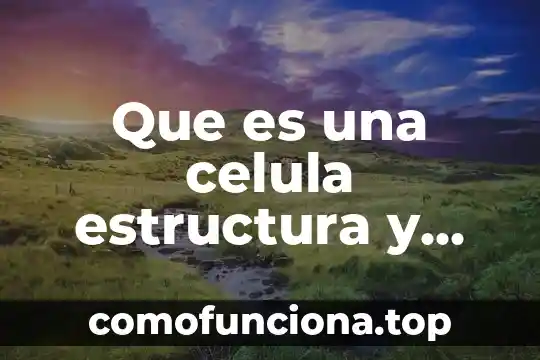 Qué es el centiolos de la célula animal 7 Que es una celula estructura y funciones