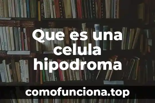 Que es significado de celula 6 Que es una celula hipodroma
