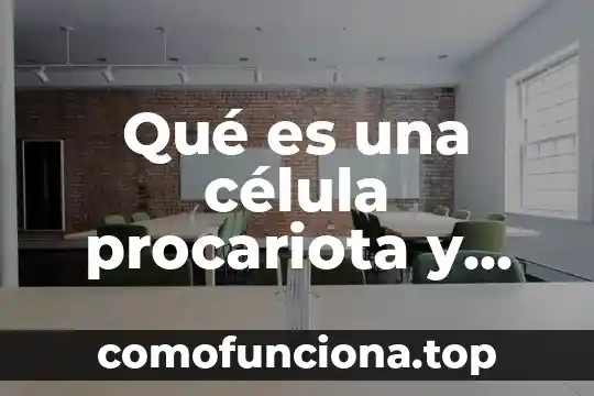 Que es una celula eucariota animal funciones y caracteristicas 4 Qué es una célula procariota y una célula eucariota