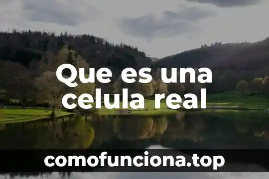 Que es la celula vejetal y la animal 6 Que es una celula real