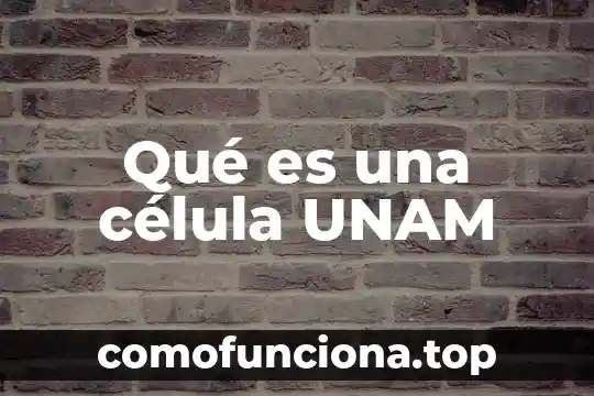 Que es celula conidiogenas 4 Qué es una célula UNAM