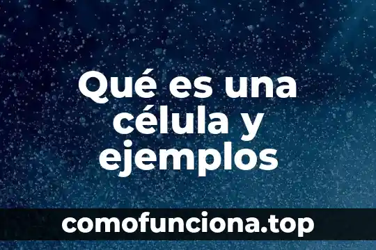 Que es ribosomas d la celula animal 4 Qué es una célula y ejemplos