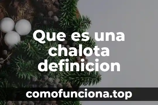 Qué es definición de red 4 Que es una chalota definicion