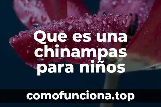 Por que es importante evitar el tabaquismo en la sociedad 5 Que es una chinampas para niños