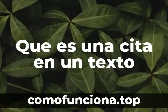 Que es un texto de literariedad 3 Que es una cita en un texto