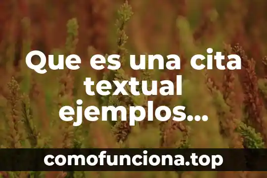 Que es la coherencia textual y su importancia 3 Que es una cita textual ejemplos cortos