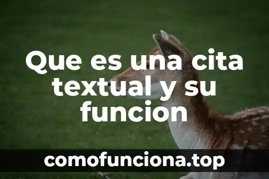 Que es la coherencia textual y su importancia 6 Que es una cita textual y su funcion
