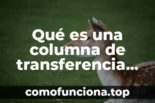 Que es yuyear significado 7 Qué es una columna de transferencia de masa
