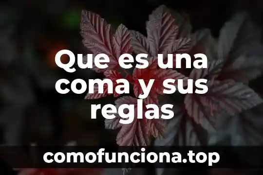 Voleibol que es significado y sus reglas 6 Que es una coma y sus reglas