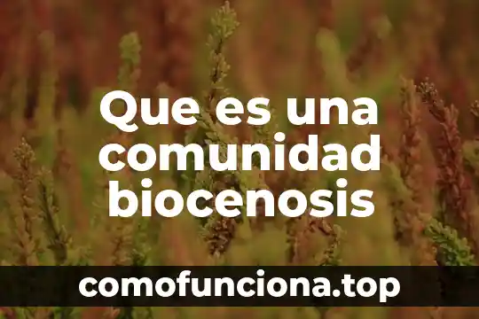 Nombre de la comunidad que es 5 Que es una comunidad biocenosis