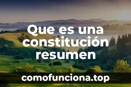 Qué es un resumen ejepols 3 Que es una constitución resumen