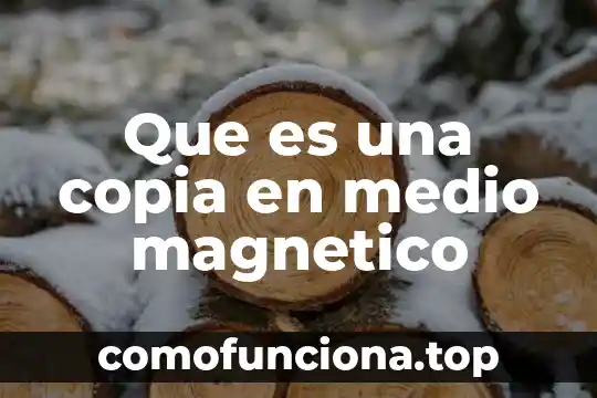 Qué es la firma dro y formato magnético 7 Que es una copia en medio magnetico