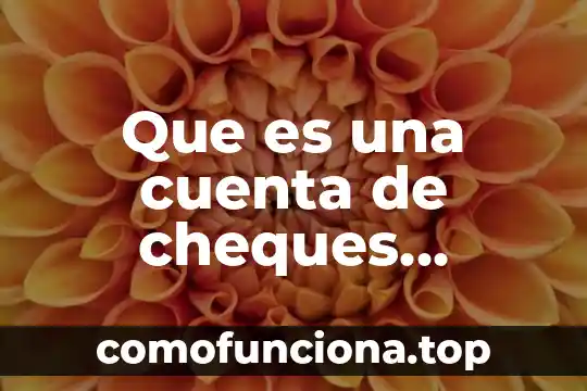 Qué es la rama de la filosofía idealista 5 Que es una cuenta de cheques citibanamex
