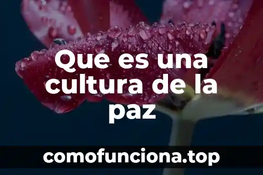 Qué es la cultura en México 4 Que es una cultura de la paz