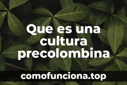 Que es cultura idiomatica 3 Que es una cultura precolombina