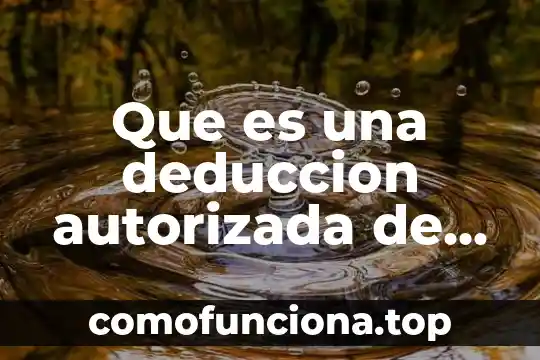 Que es el plexo lumbosacro de un animal 8 Que es una deduccion autorizada de actividad empresarial y profesional