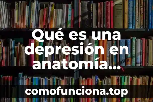Que es estilizacion de la figura humana 6 Qué es una depresión en anatomía humana