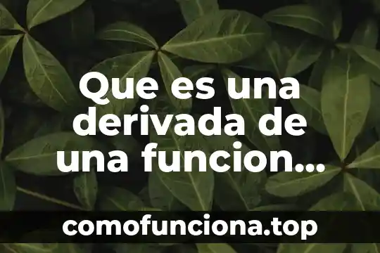 Qué es el exponencial de un número 7 Que es una derivada de una funcion potencial exponencial