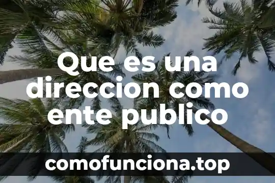 Que es espacio publico en el transporte 6 Que es una direccion como ente publico