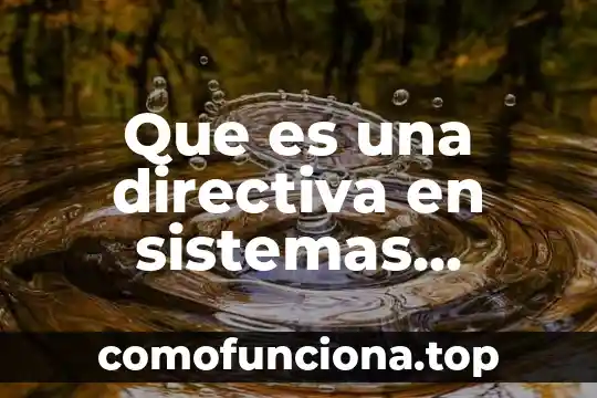 Que es el estado del arte de los sistemas operativos 3 Que es una directiva en sistemas operativos