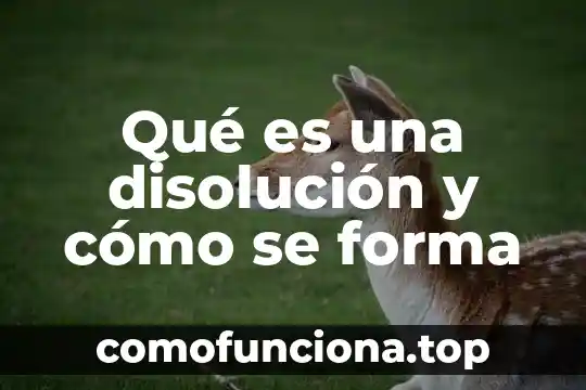 Qué es disolución en ciencia física 5 Qué es una disolución y cómo se forma