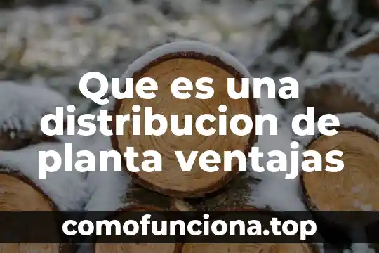 Que es la distribucion de riqueza en la economia 5 Que es una distribucion de planta ventajas