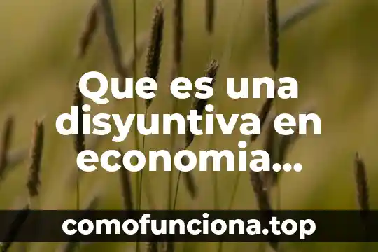 Que es pleonasmo figura literaria ejemplos 6 Que es una disyuntiva en economia ejemplos