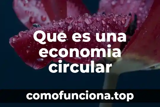 Que es el enves de una planta 8 Que es una economia circular