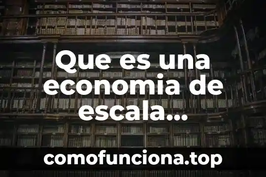 Qué es la abstracción en economía 4 Que es una economia de escala ejemplos