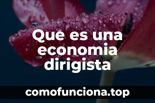 Que es una moneda de pais en una libre economia 5 Que es una economia dirigista