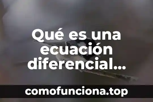 Que es variable en calculo diferencial 5 Qué es una ecuación diferencial lineal