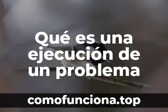 Red lógica que es 5 Qué es una ejecución de un problema