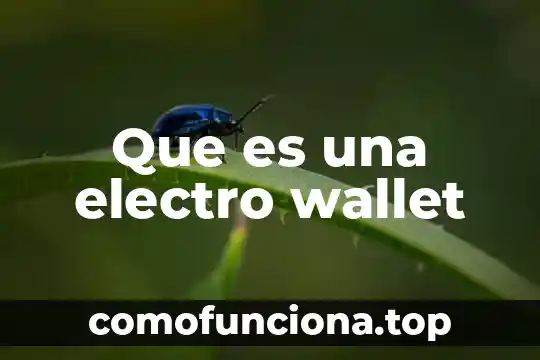 Que es lo que le el electro 4 Que es una electro wallet