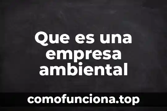 Que es la vision de corto en una empresa 4 Que es una empresa ambiental